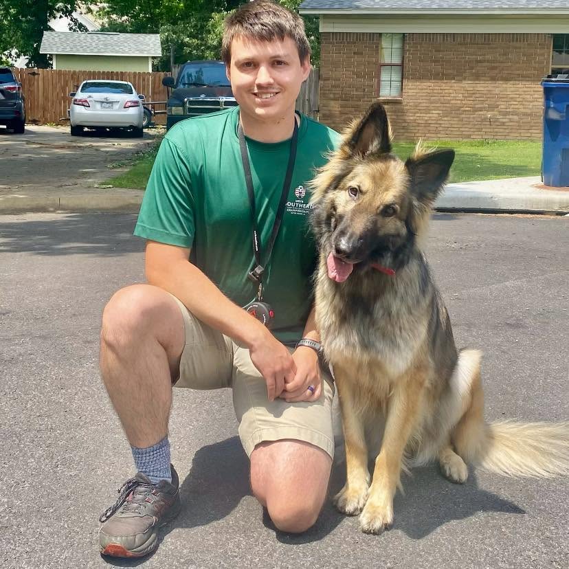 Robinson Dogworks trainer